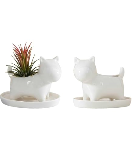 Amazon.co.jp: ソファ型の植木鉢 多肉植物鉢 プランター プラスチック